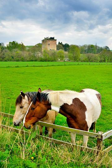 Gorebridge The Arches, Borthwick Mains Farm, 빌라 외부 사진